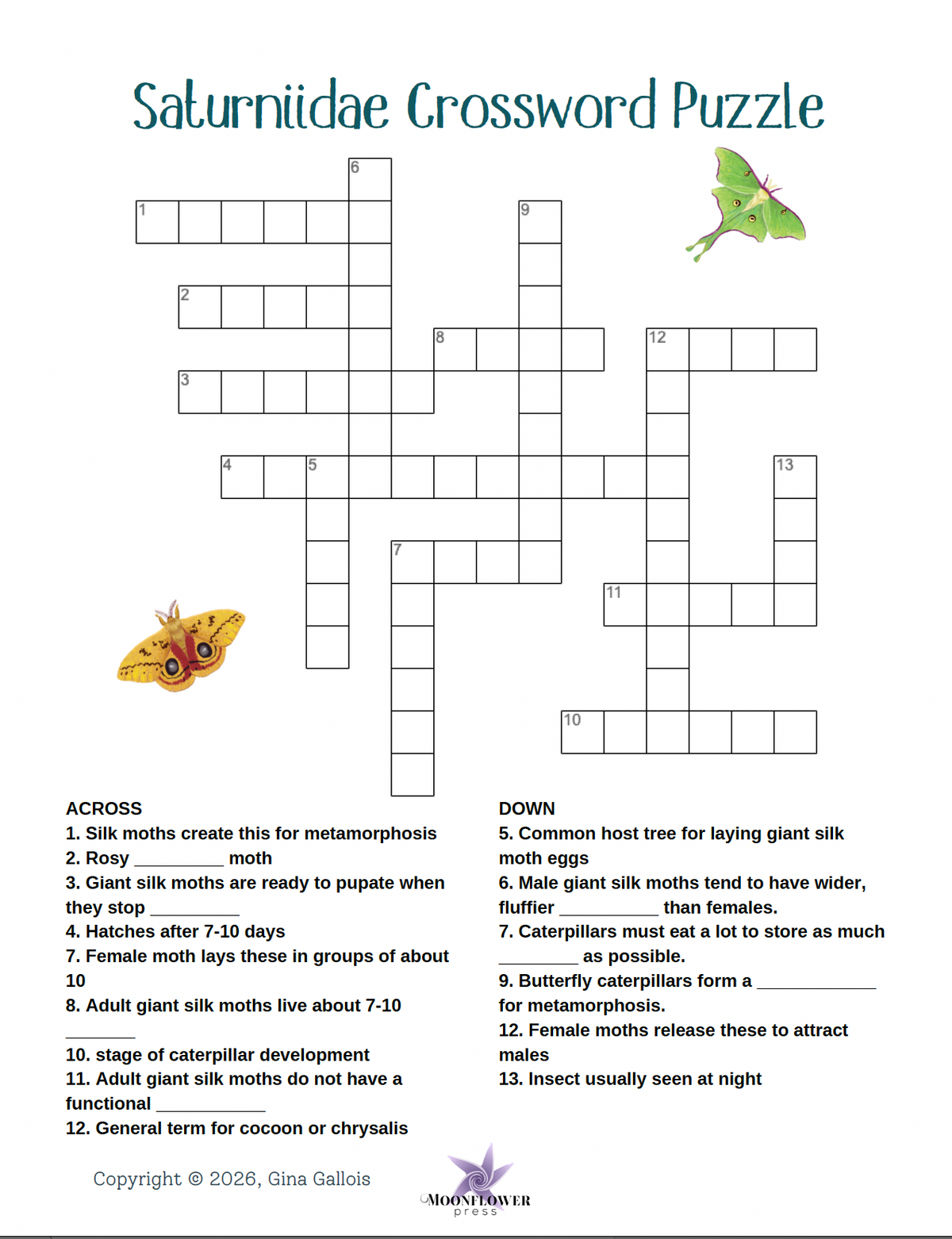 Lesson Plan & Activities: Moth Metamorphosis