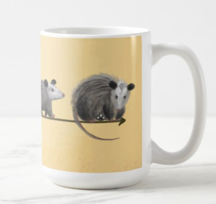 Opossum Gear