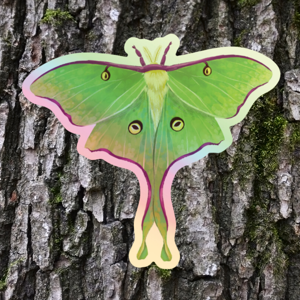 Lovely Luna Moth Sticker - Holographic Waterproof Vinyl