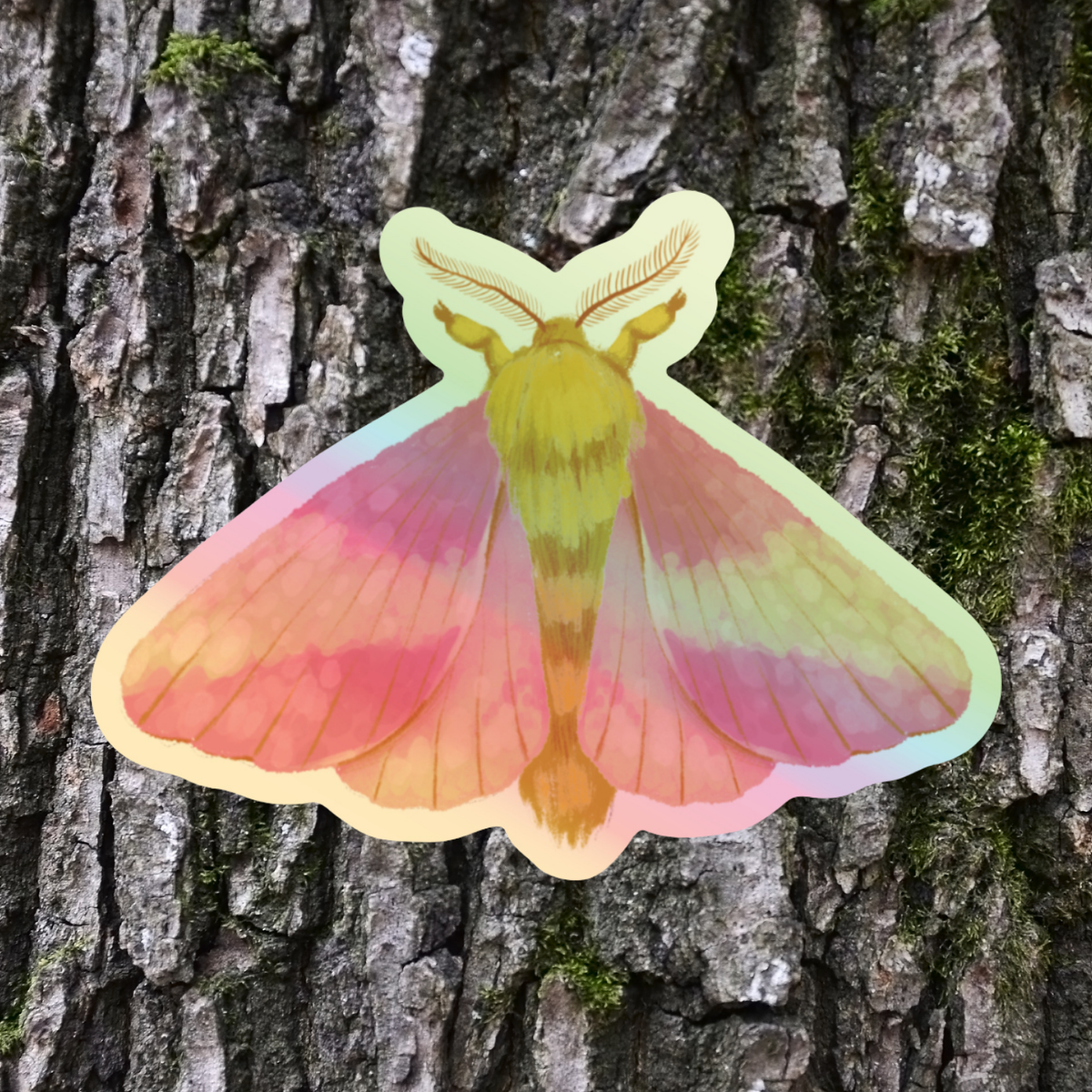 Magnificent Rosy Maple Moth Sticker - Holographic Waterproof Vinyl