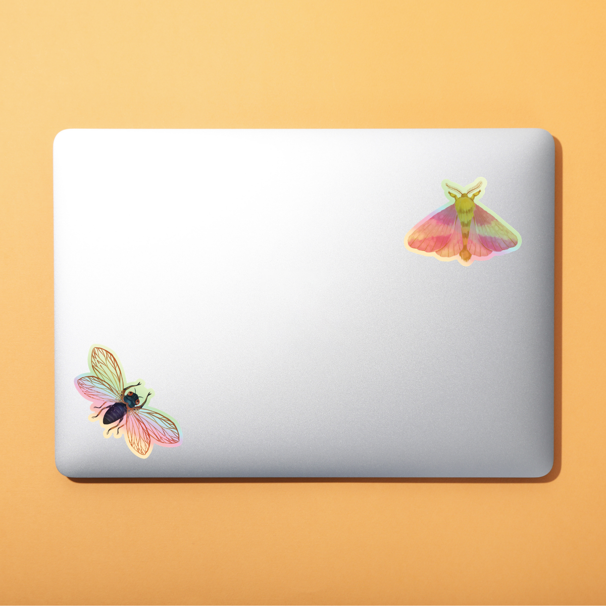 Magnificent Rosy Maple Moth Sticker - Holographic Waterproof Vinyl