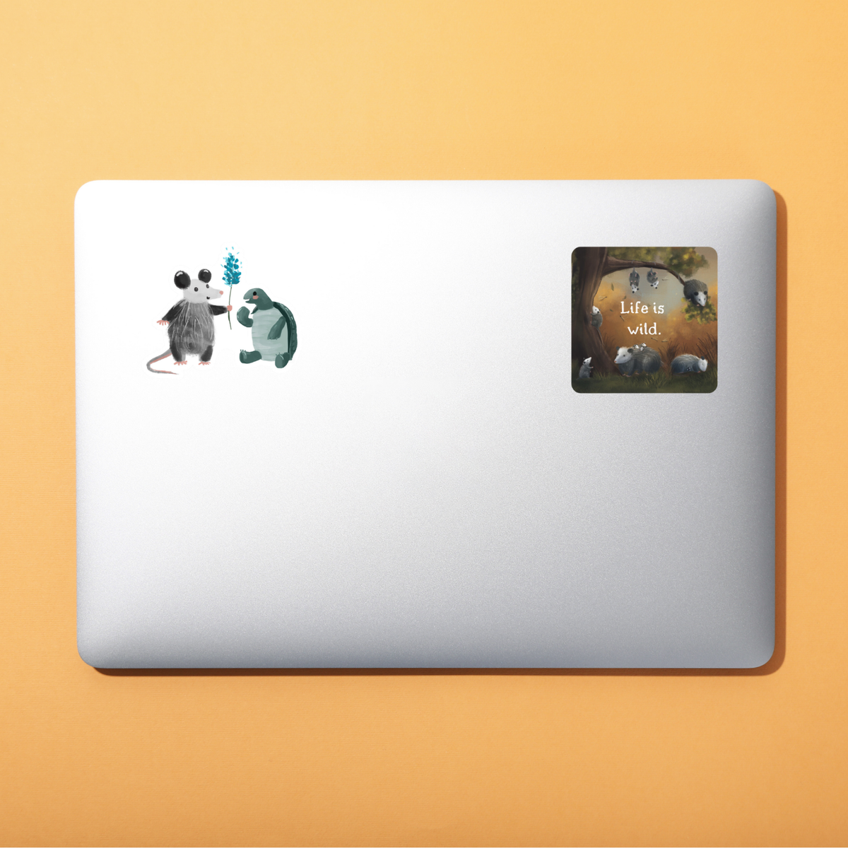 Opossum and Turtle Friends Sticker - Durable Waterproof Vinyl