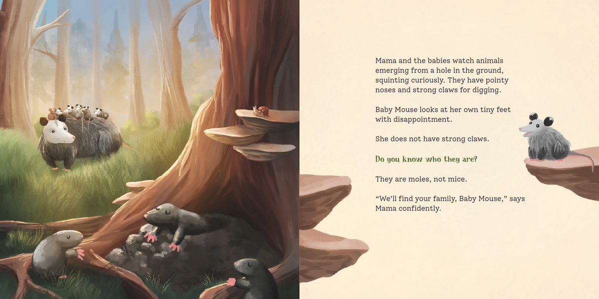 Opossums to the Rescue: A Same or Different Critter Story
