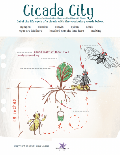 Lesson Plan & Activities: Cicada City